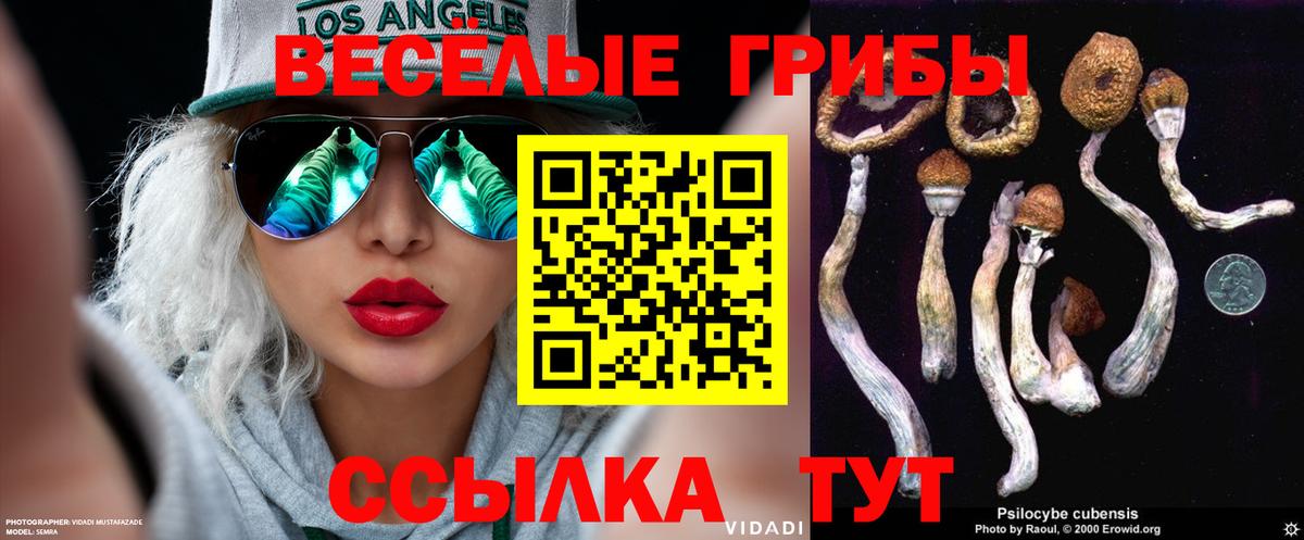 Когалым  Галлюциногенные грибы Psilocybe  Вход с VPN  Галлюциногенные грибы Psilocybine cubensis 